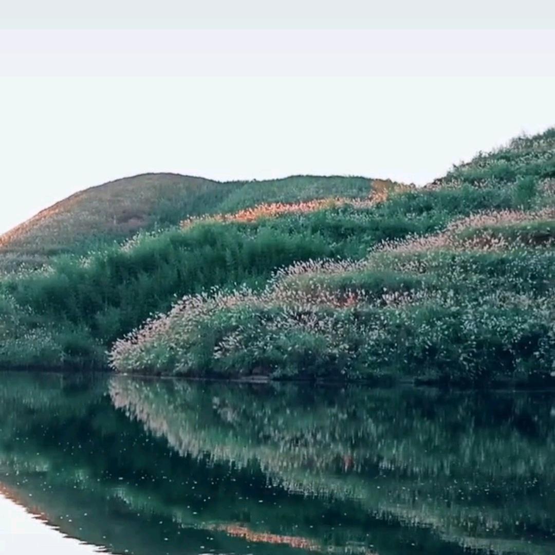 阿郞🎤