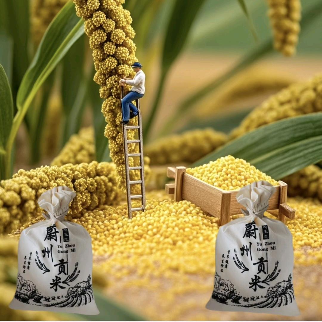 安哥甄选农产品