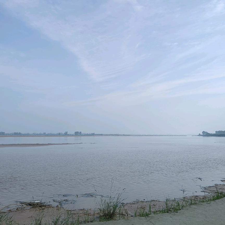 高扬