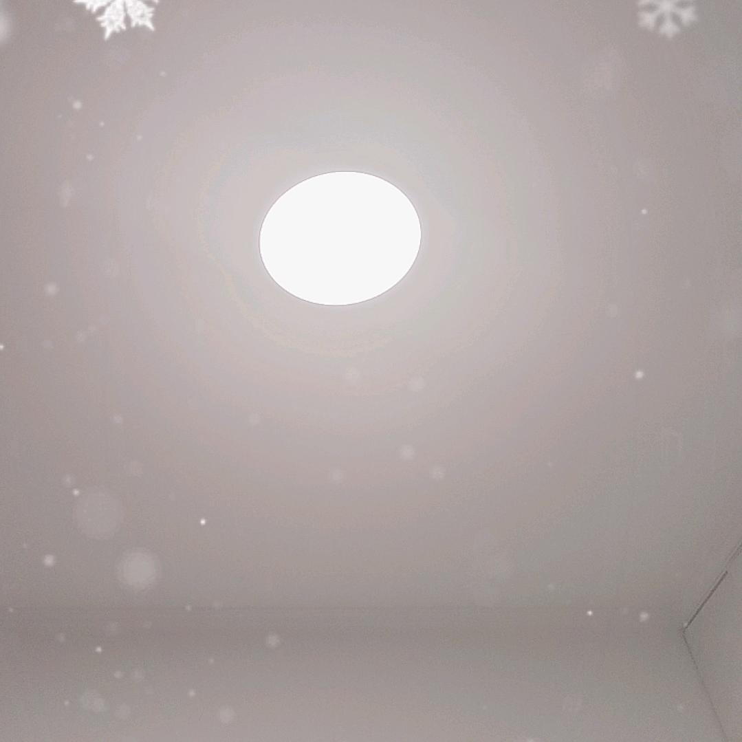 用户
