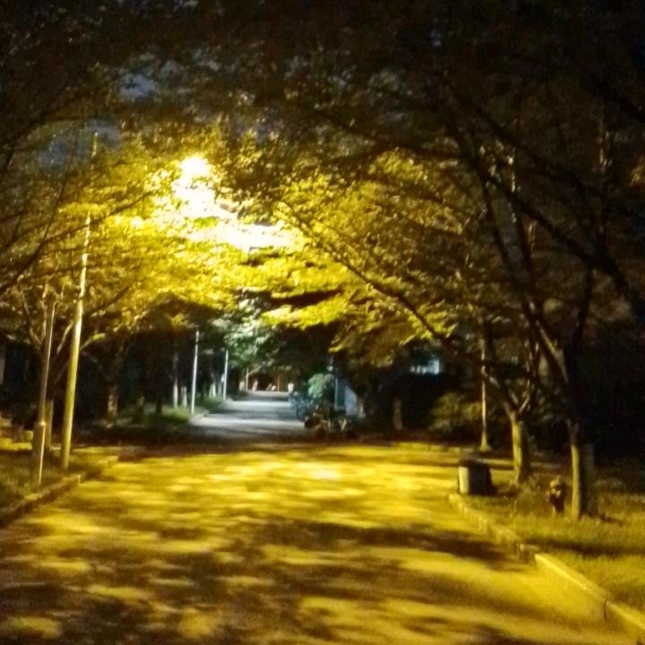 低空经济产业共享