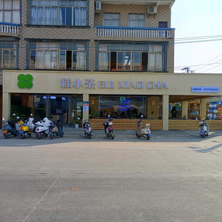 西场桂小茶（直播号）