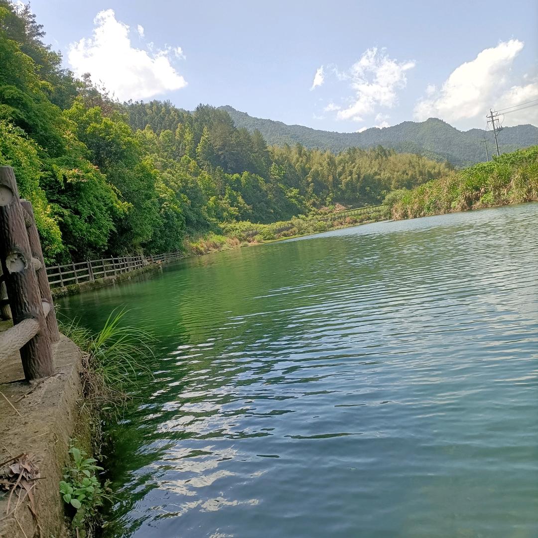 傻蛋阳阳