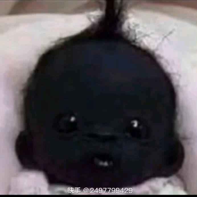 西伯利亚大卤蛋