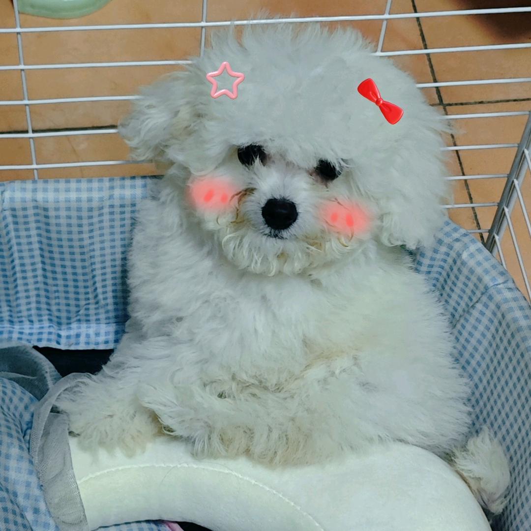 小椰子💕
