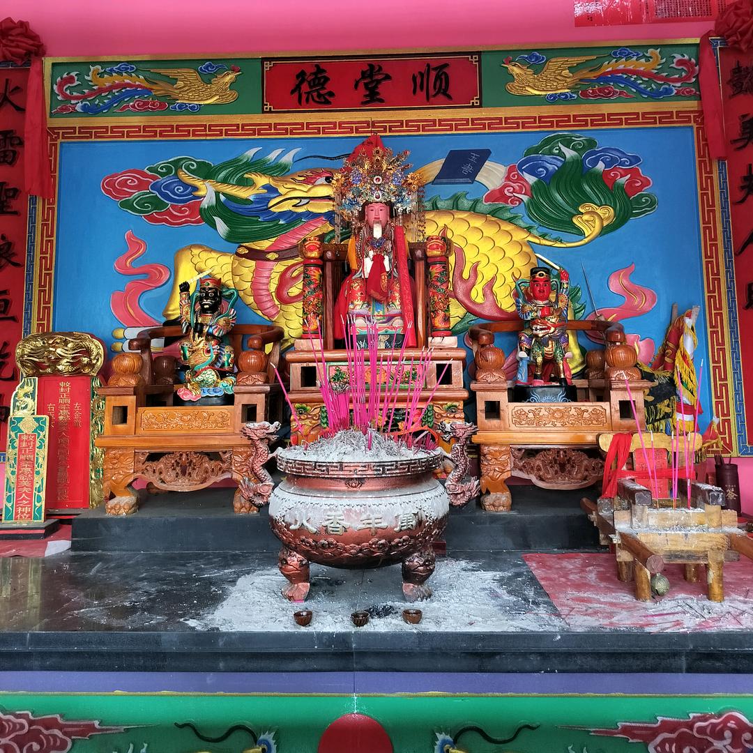 布丁需要疼爱