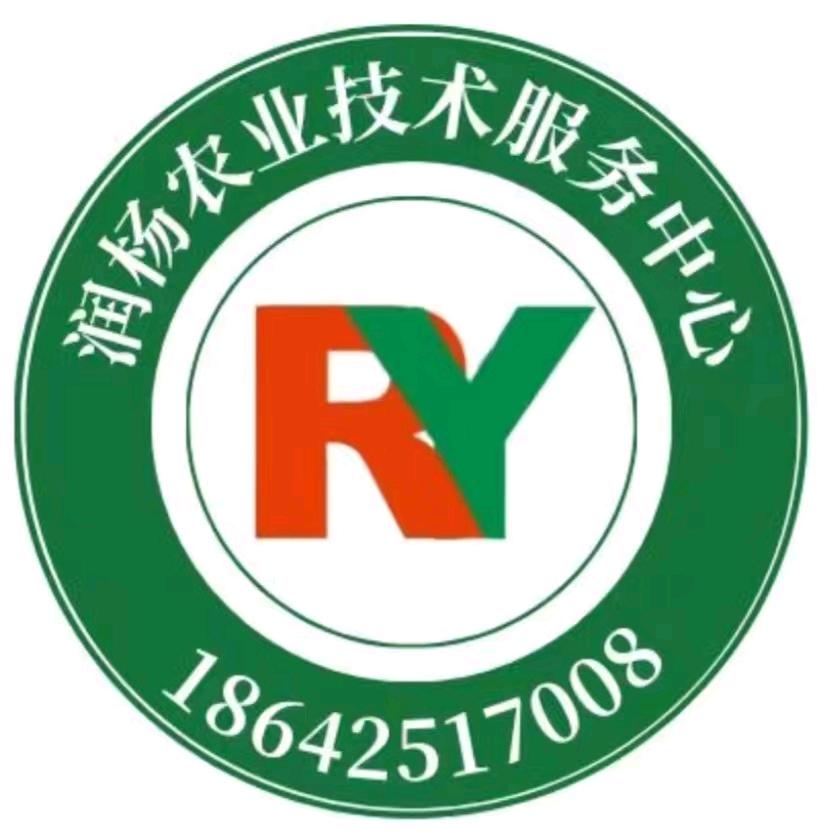 润杨农业老杨讲草莓