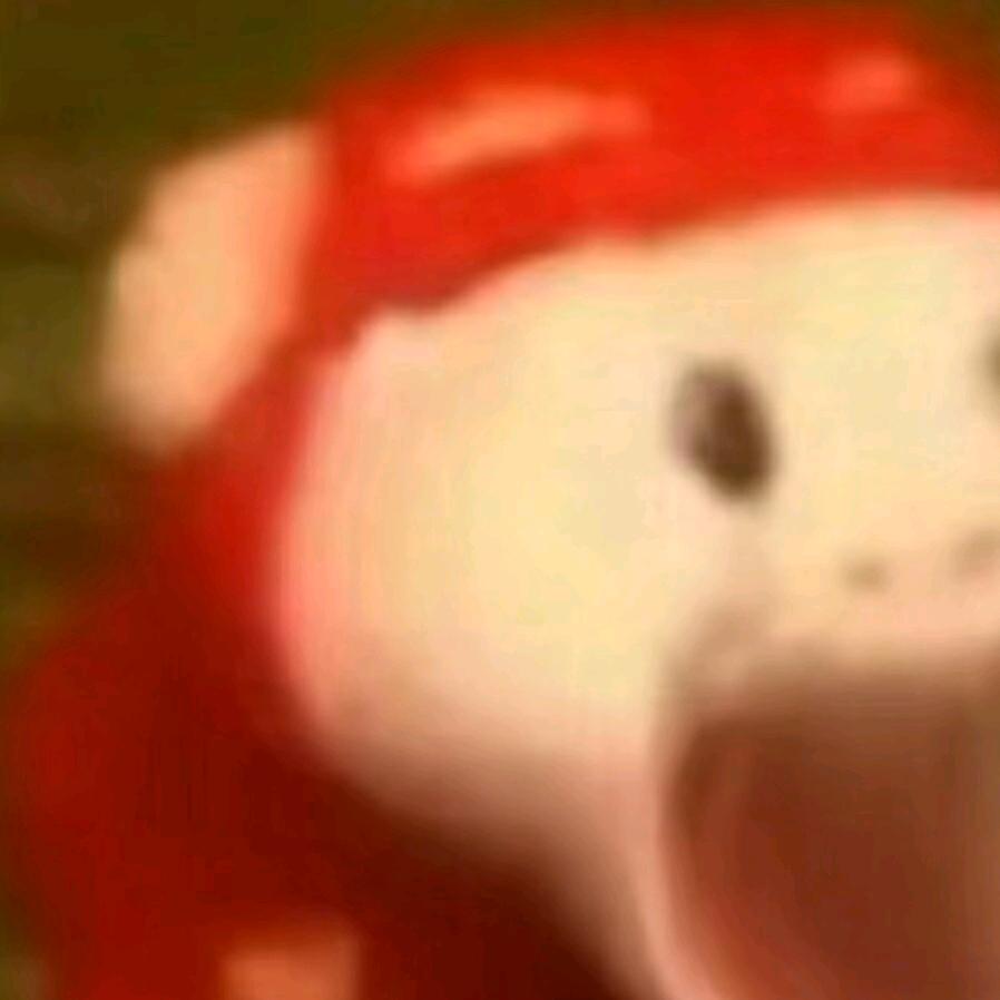 周舟洲