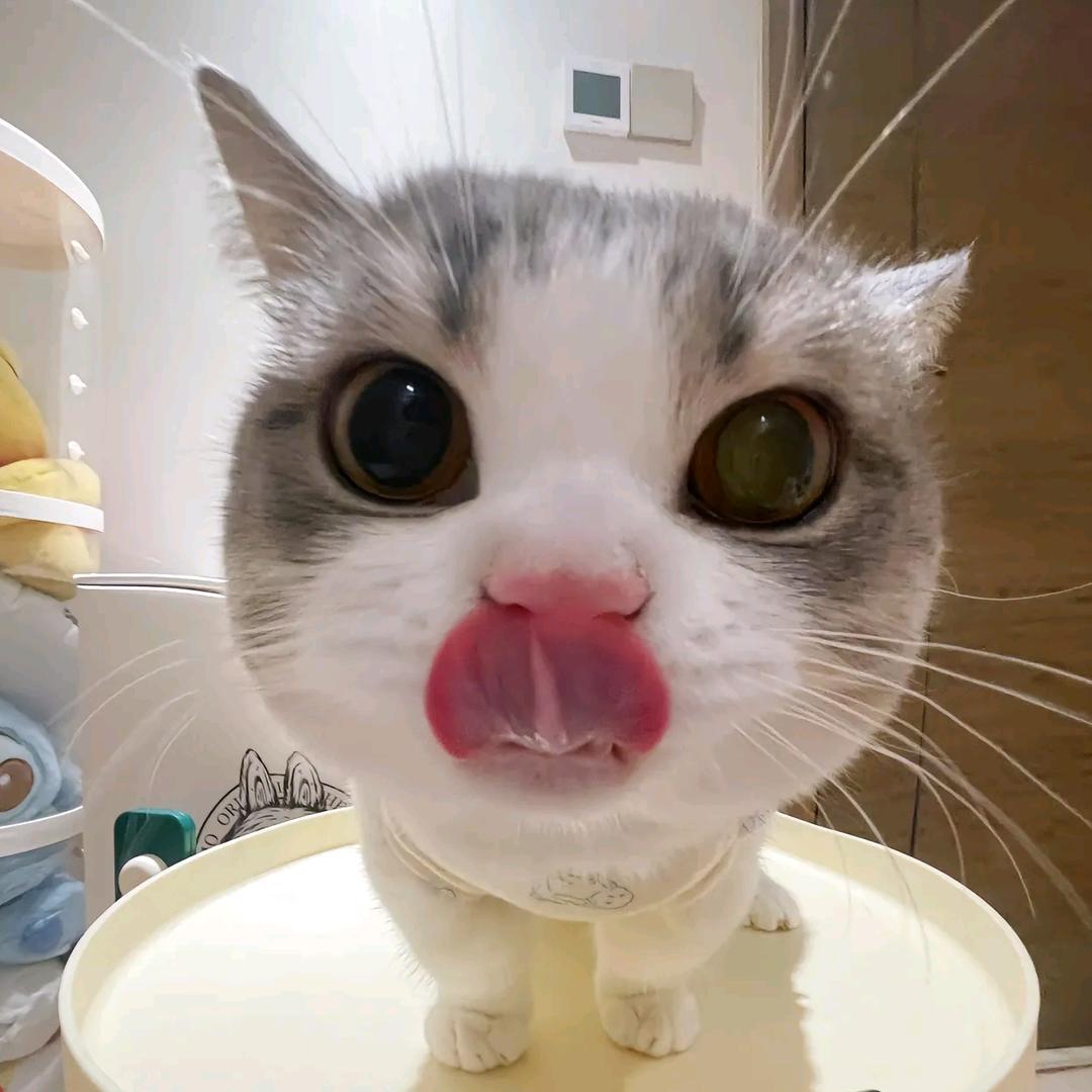 我和英语不共戴天