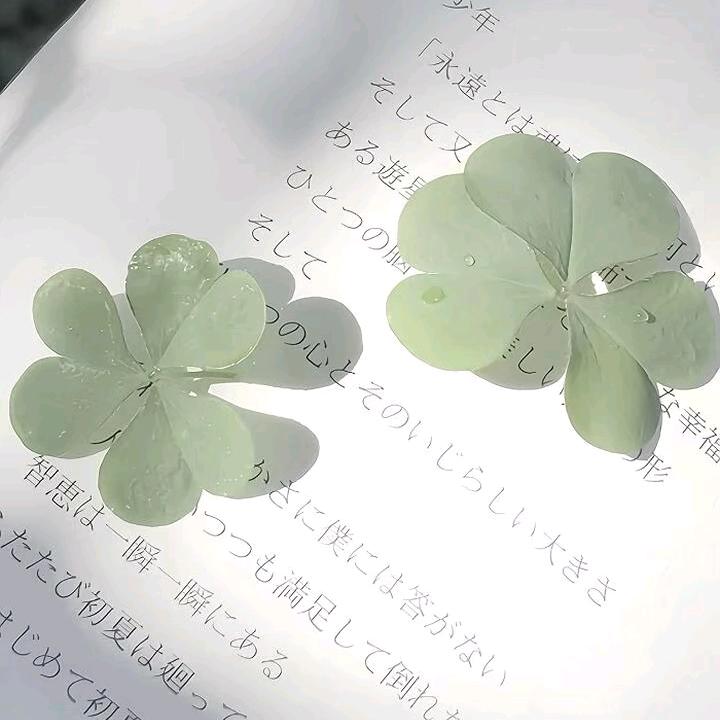 春🌷风拂🍁面