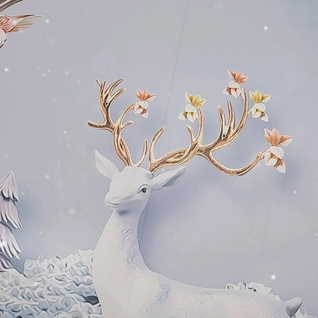 🌾江南明月🌾