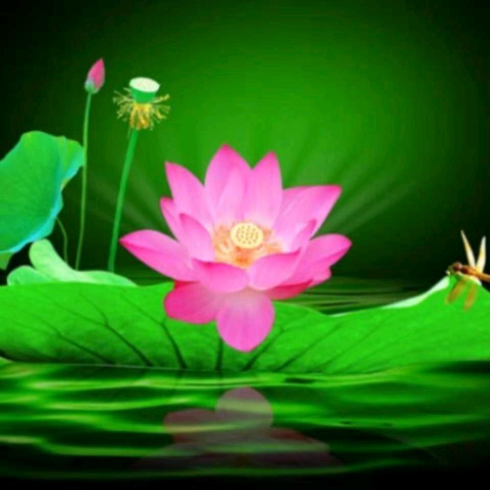 茶若醉人何须酒，唯有碎银解千愁！