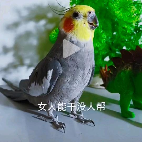 赵仕建