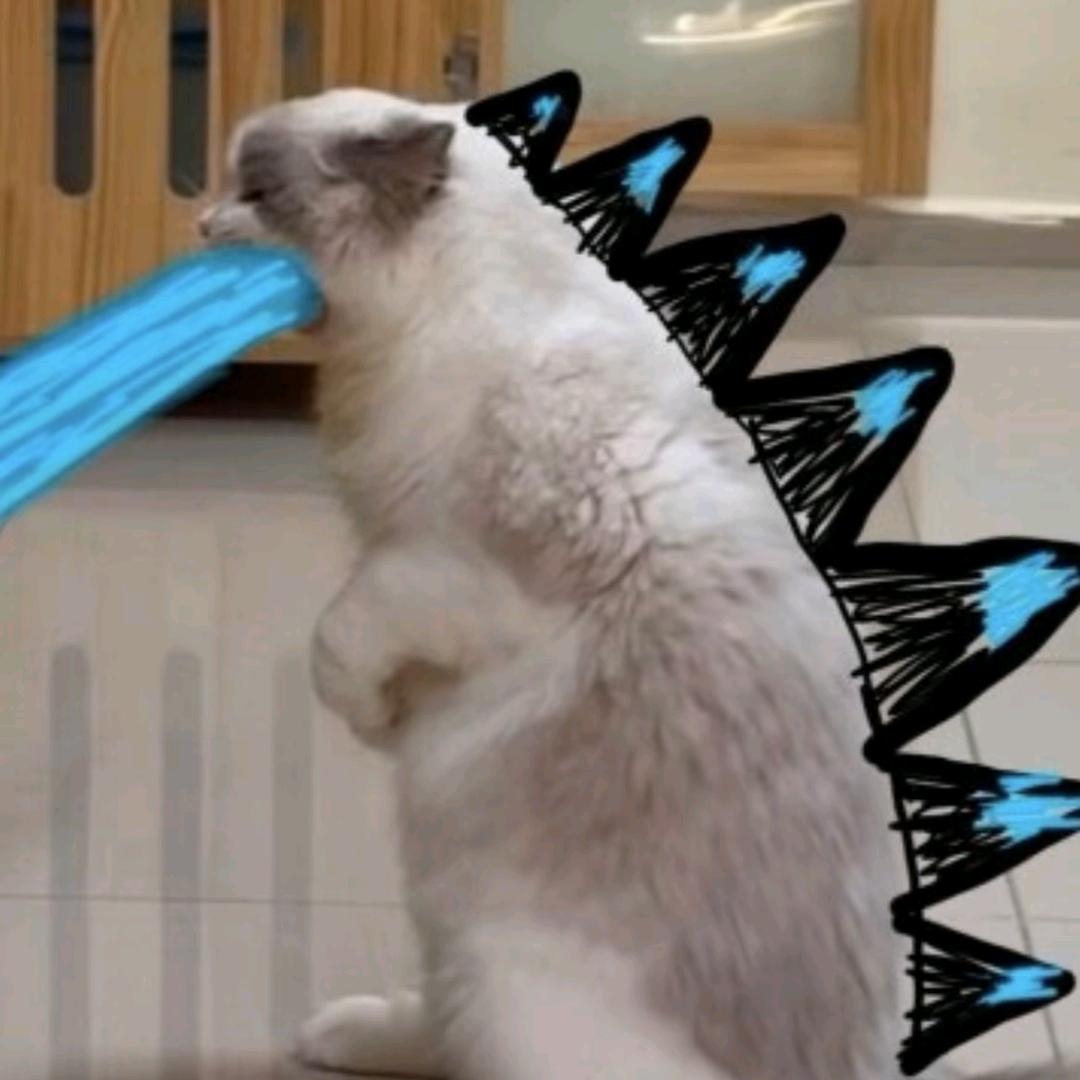 陈鸿钰（永劫萌新）