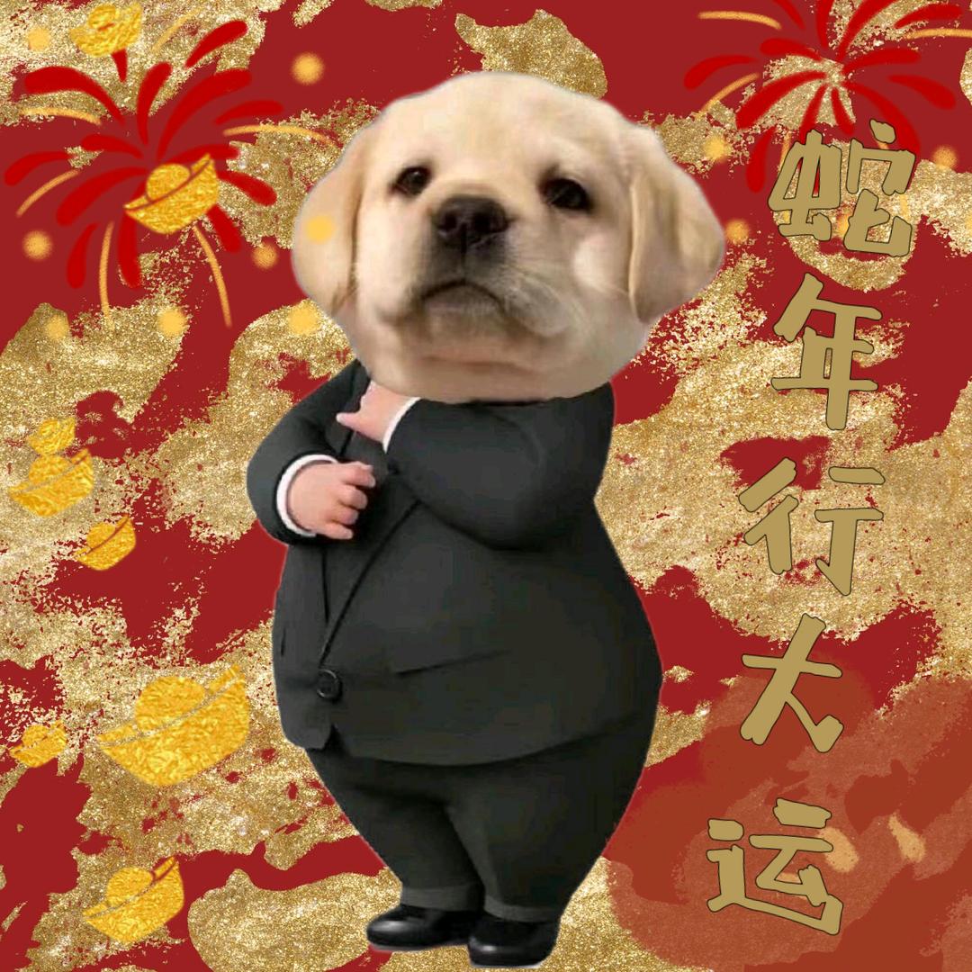 今晚打老虎🕶