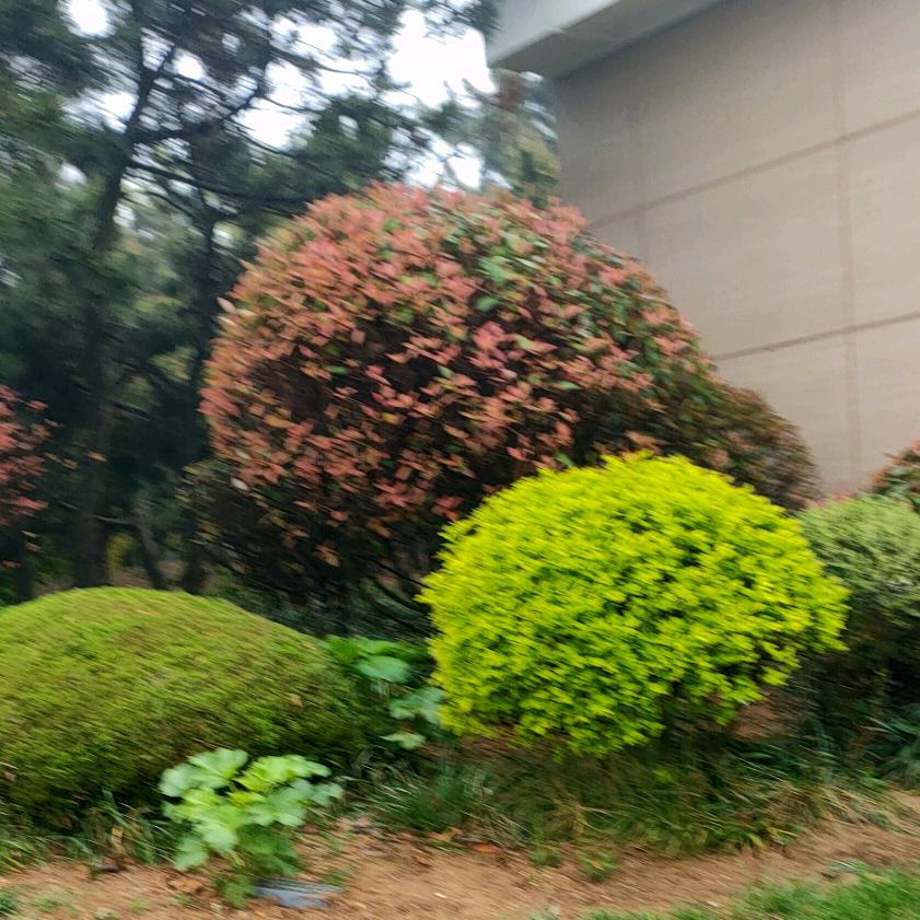 执着
