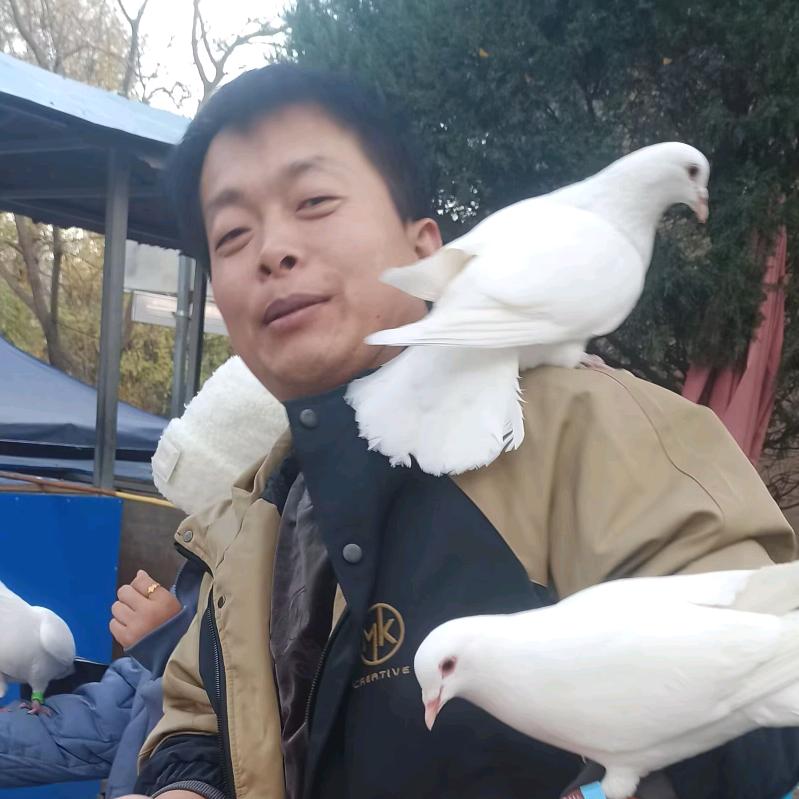 纲子（橱窗好物）