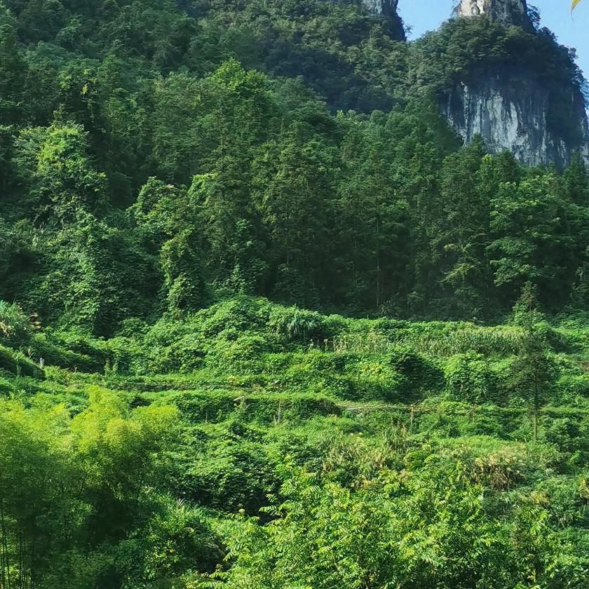 小溪