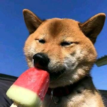 尘事太揪人心