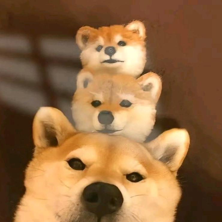 能活多久活多久