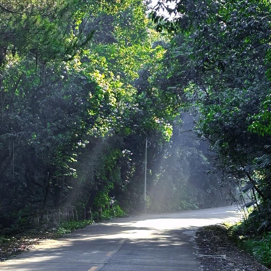阿灿的心情点滴