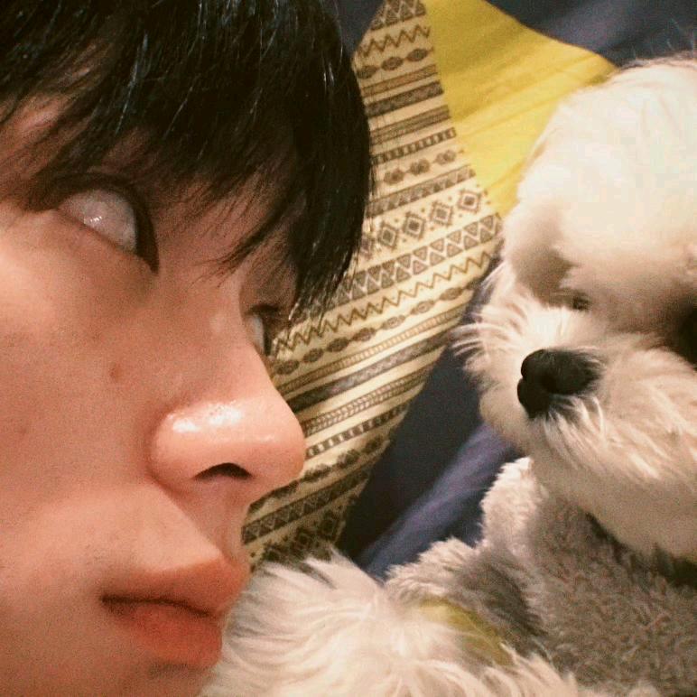 听到尖锐的声音就想打架