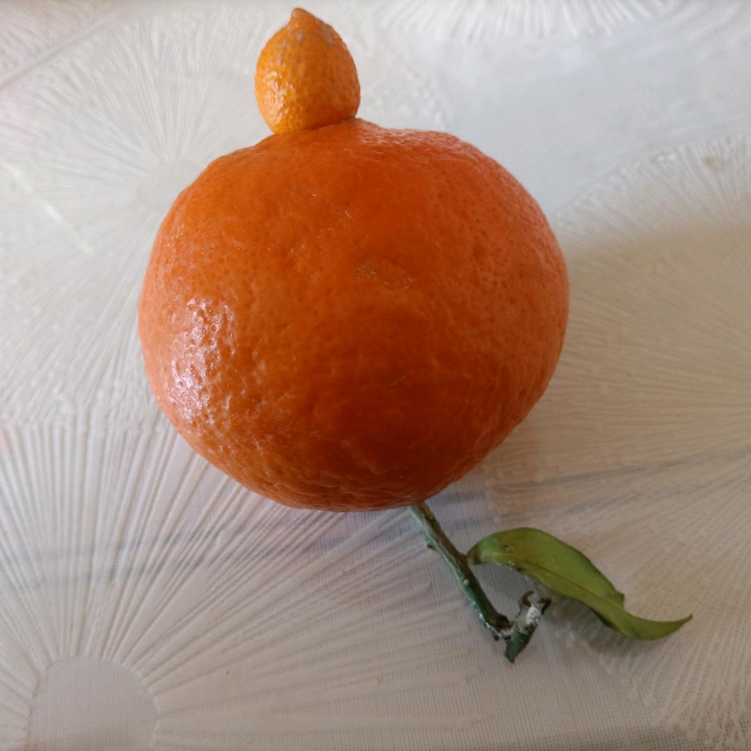 太阳