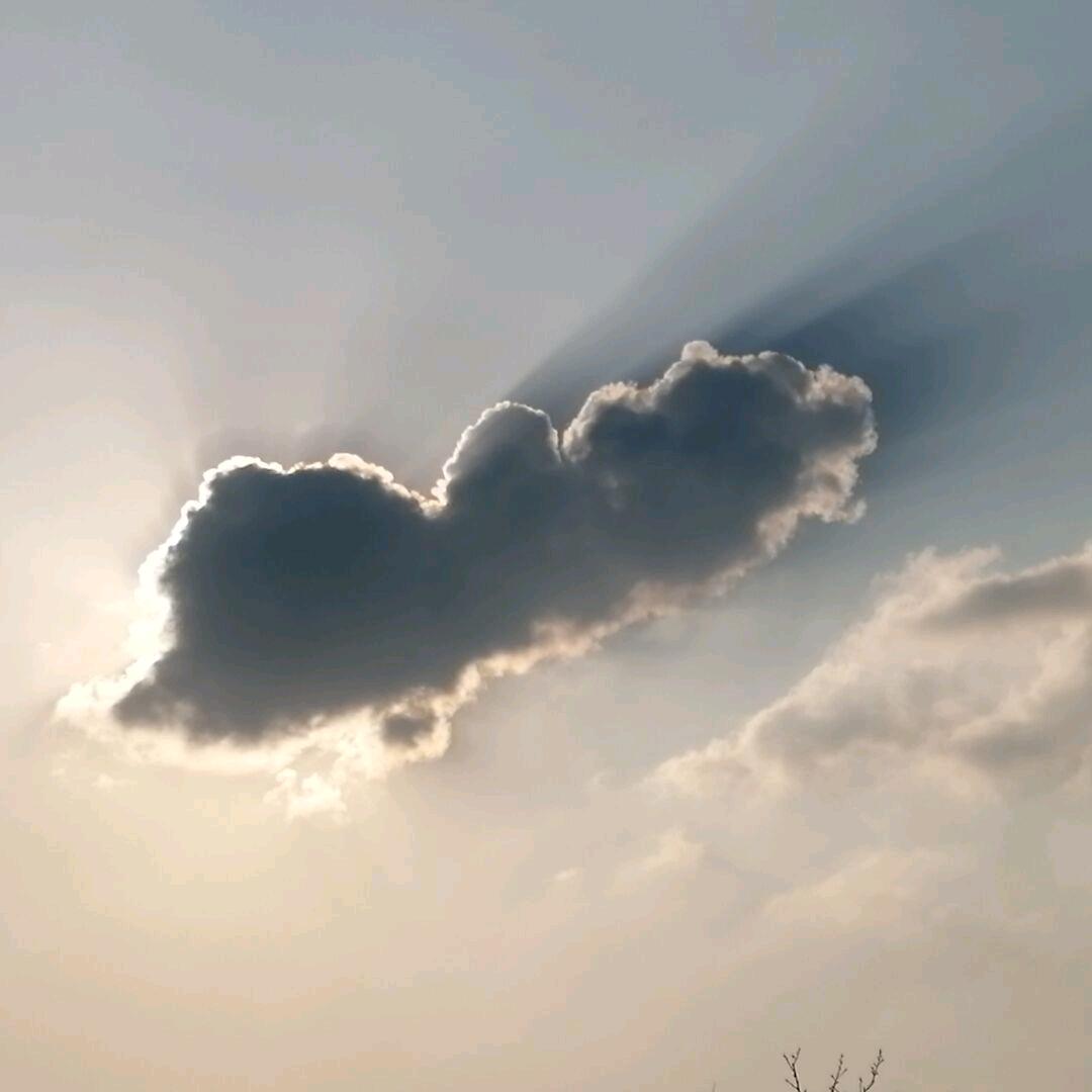 枫叶未眠