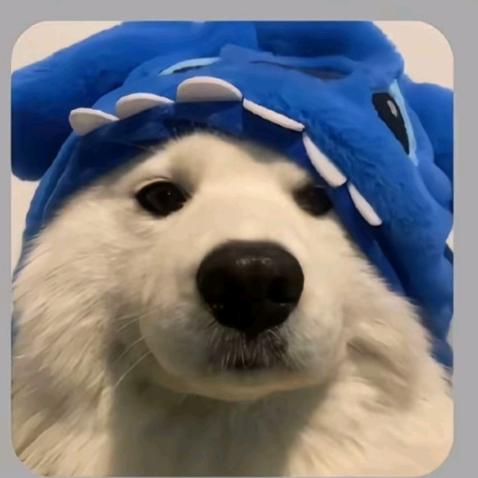 小王