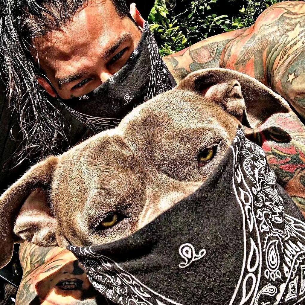 K先生(增肌中）