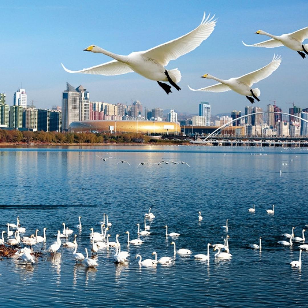 三门峡同城搭子