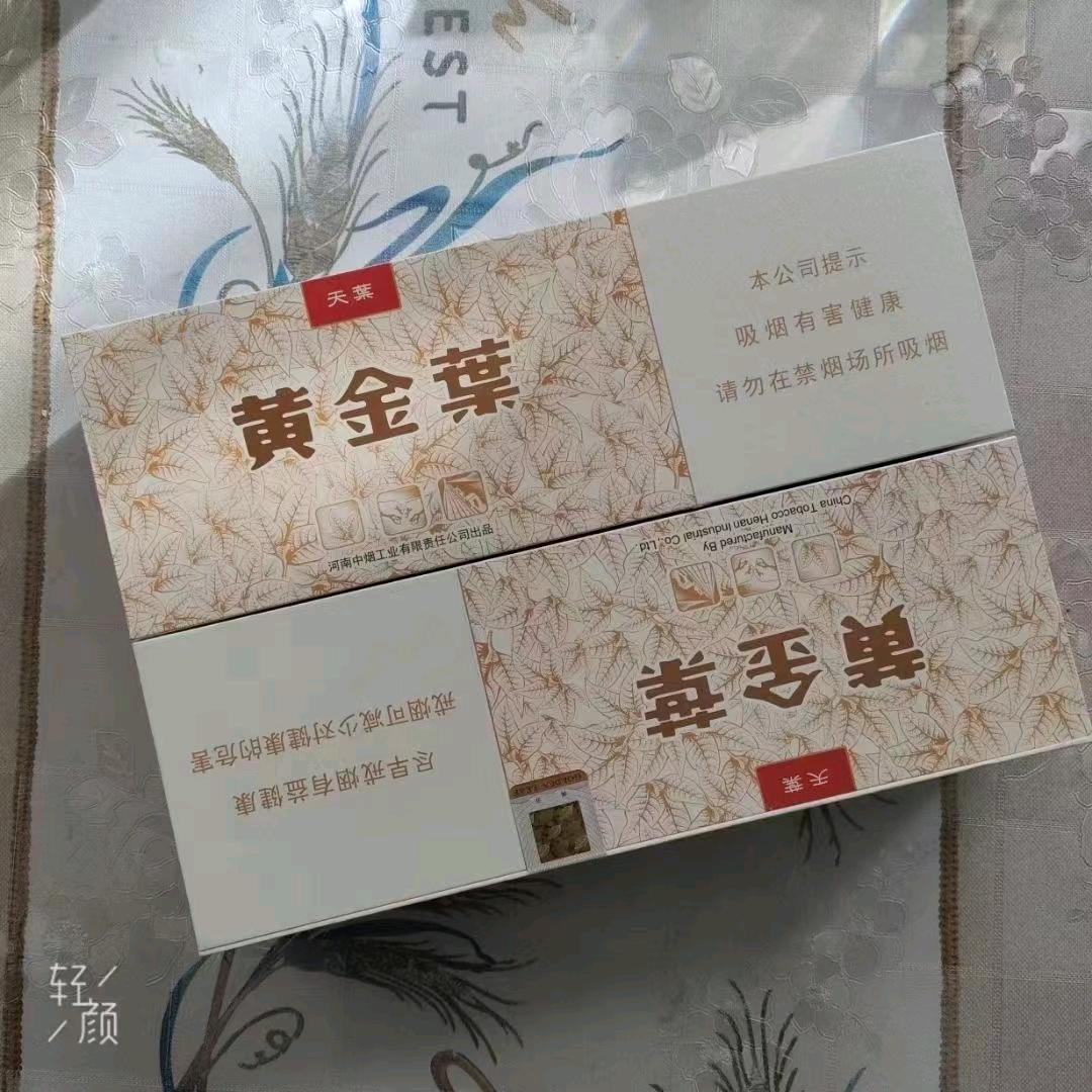 涛TT
