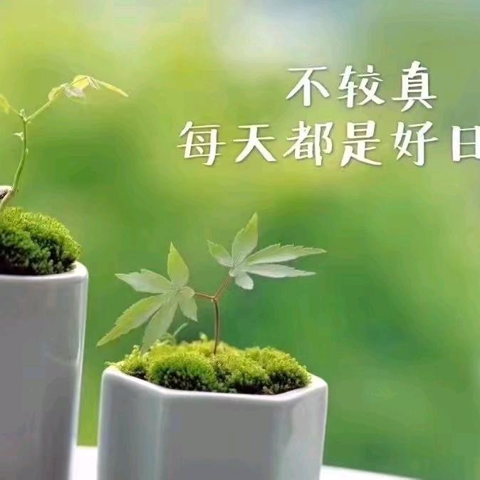让世界充满爱《助力新人分享你我》