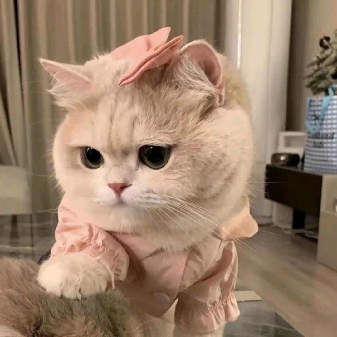 不南🍰