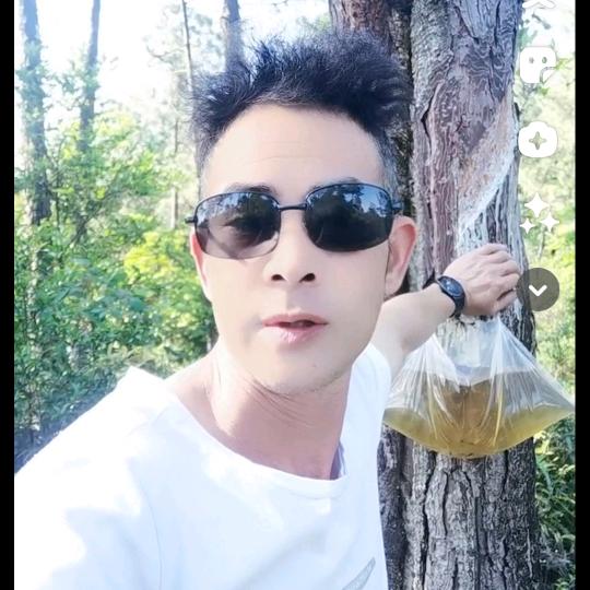 晨曦