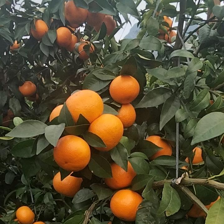 铭记