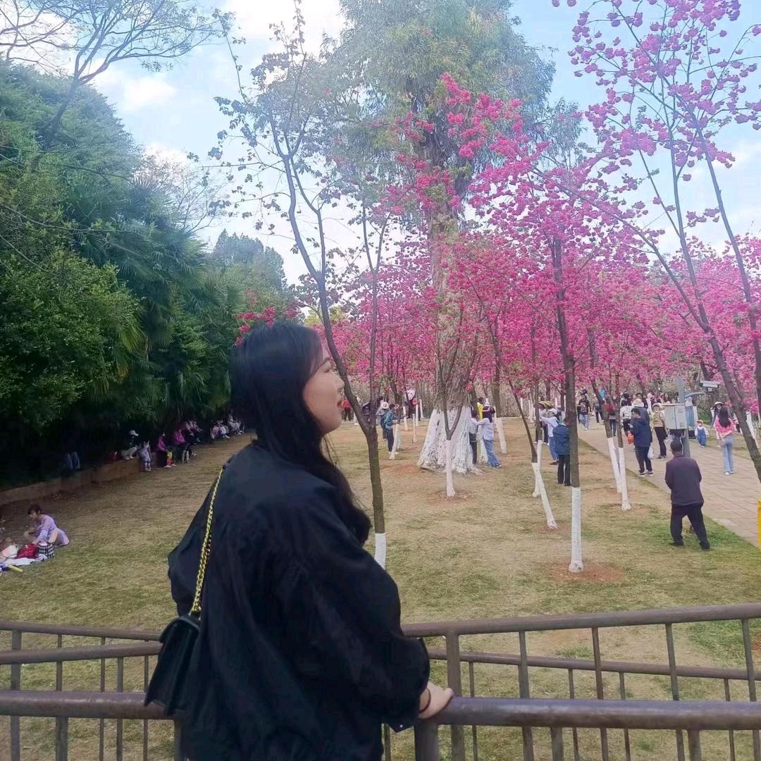晓蝴蝶🦋