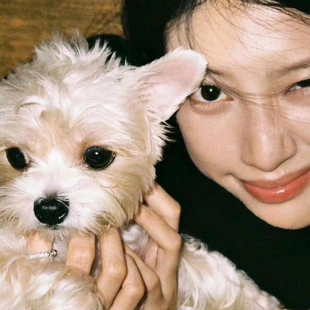 王王王王王.🐴