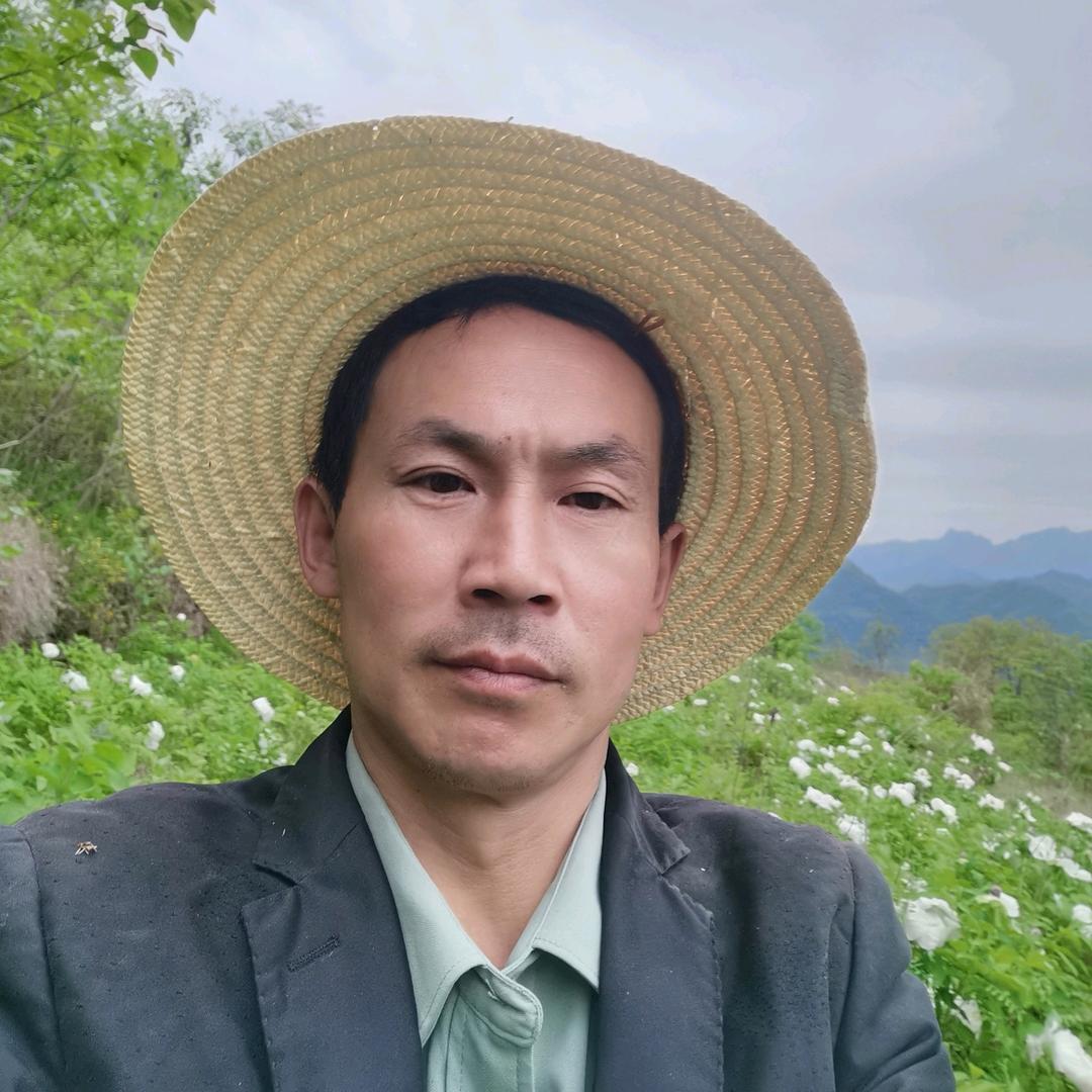 骑着毛驴逛大街