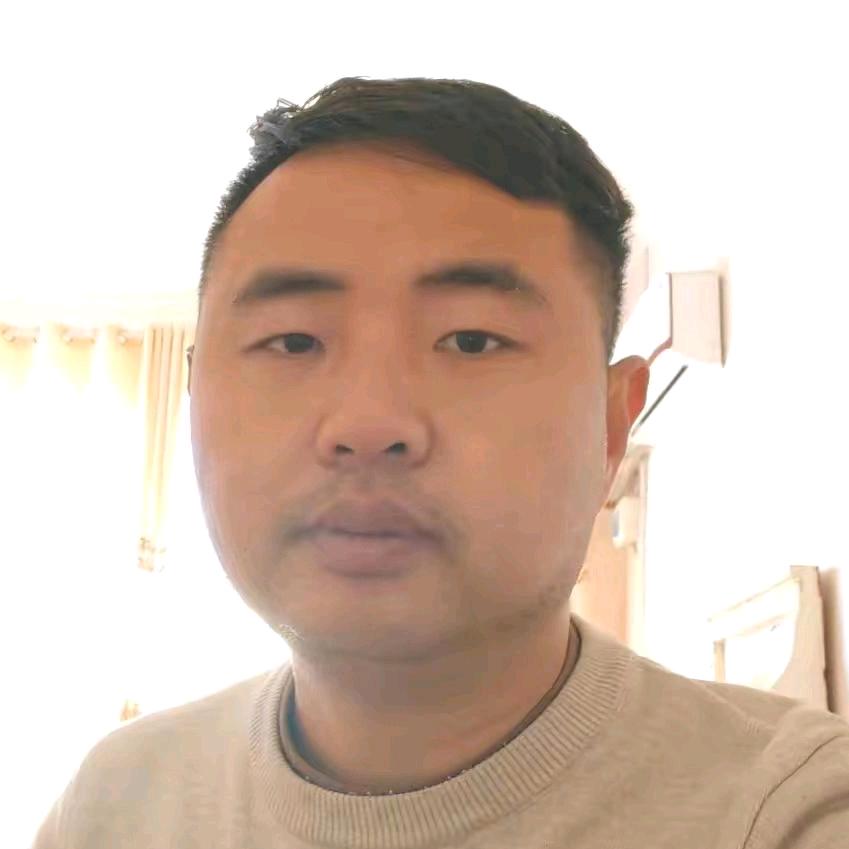 知猪侠