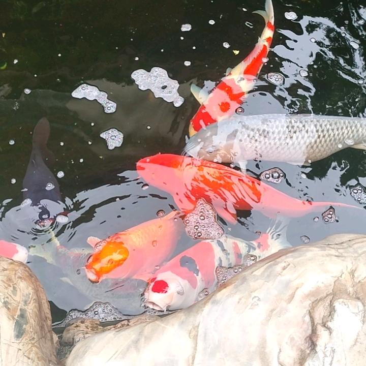 @余生是你。
