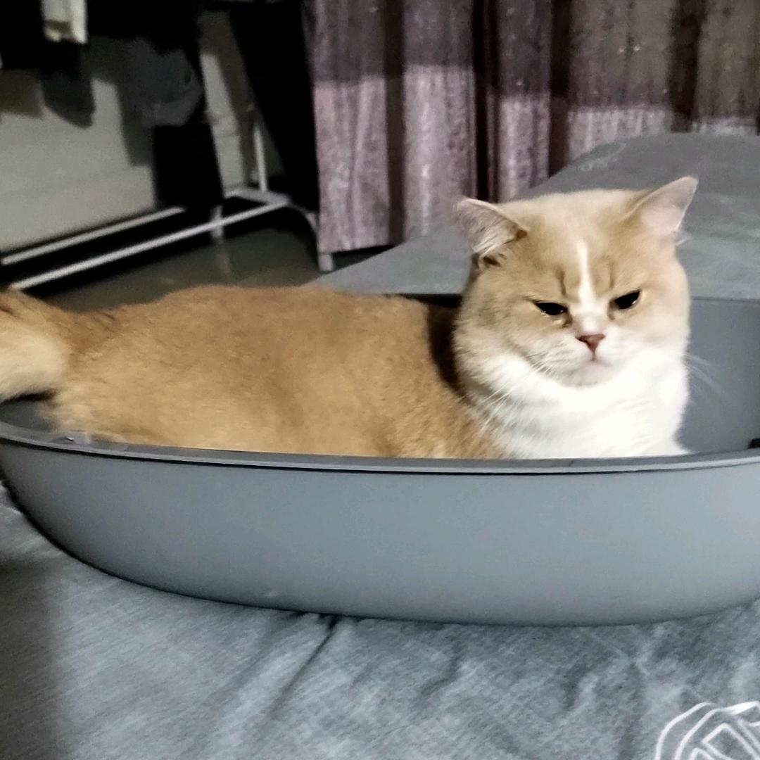 姐的世界于你何干