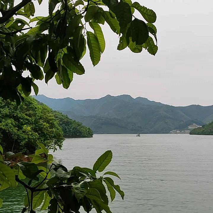 刘老根