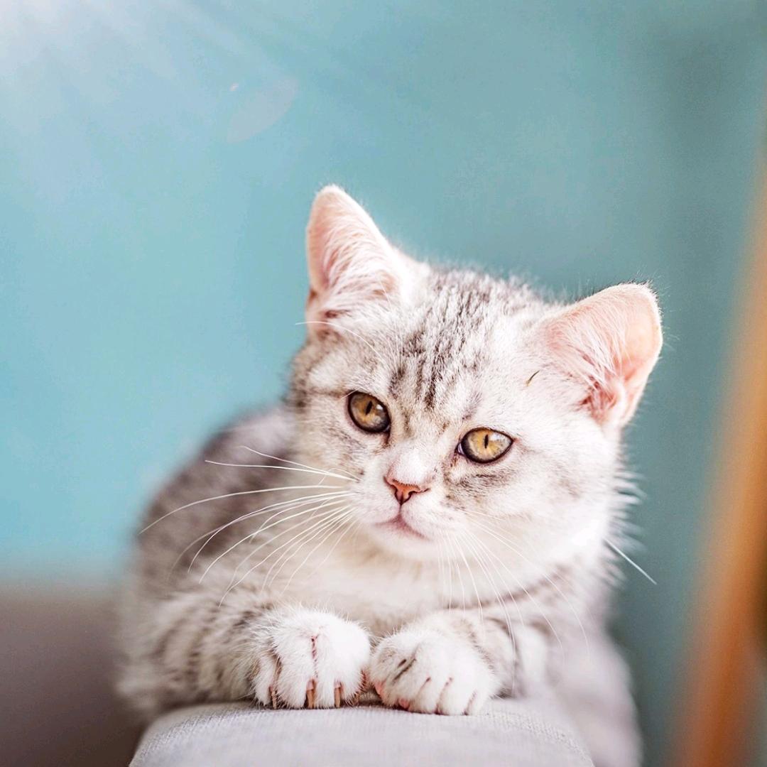 记录生活记入自己