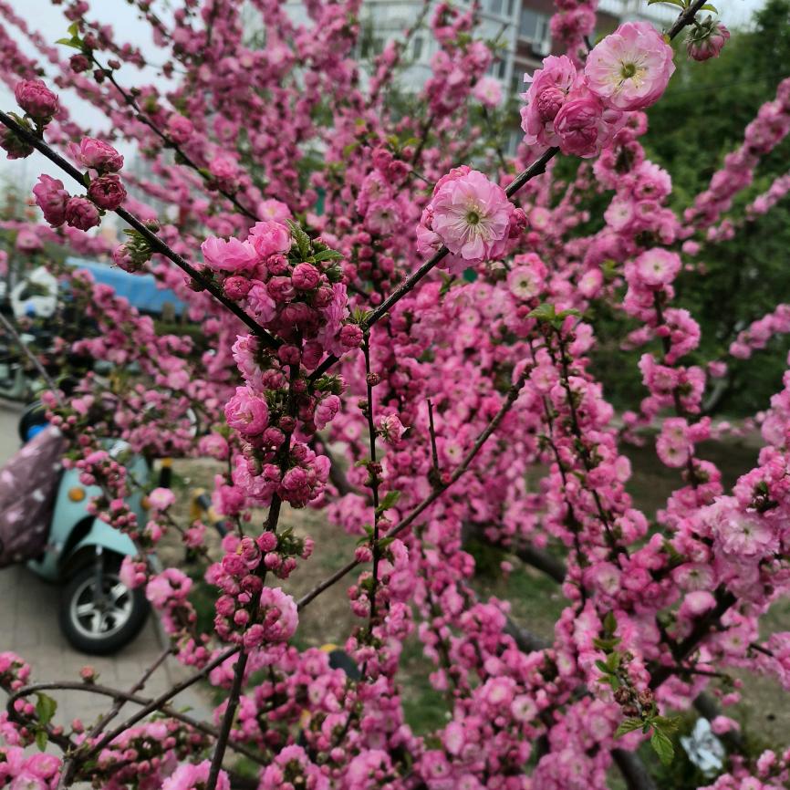 互相关注