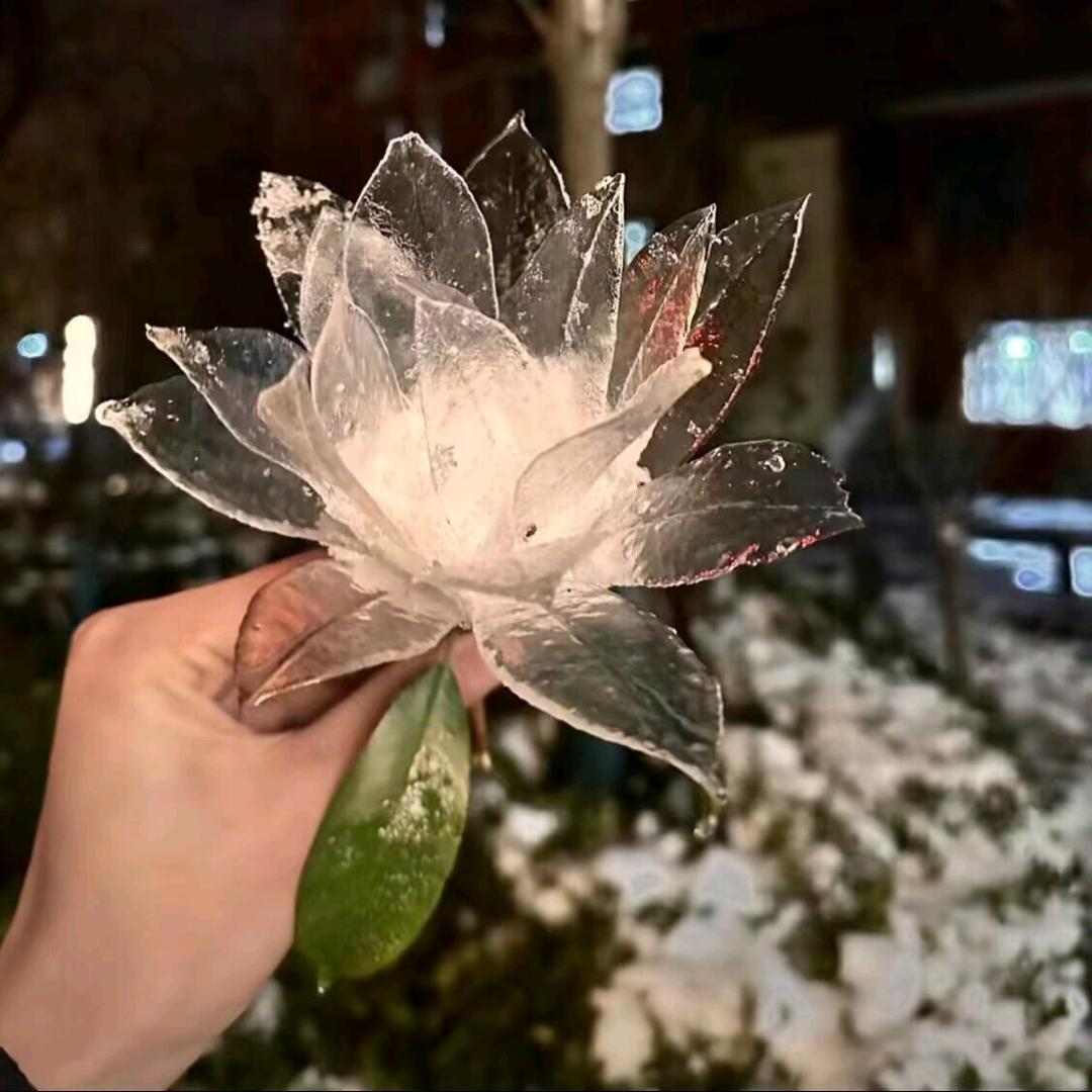 喜欢读书看报