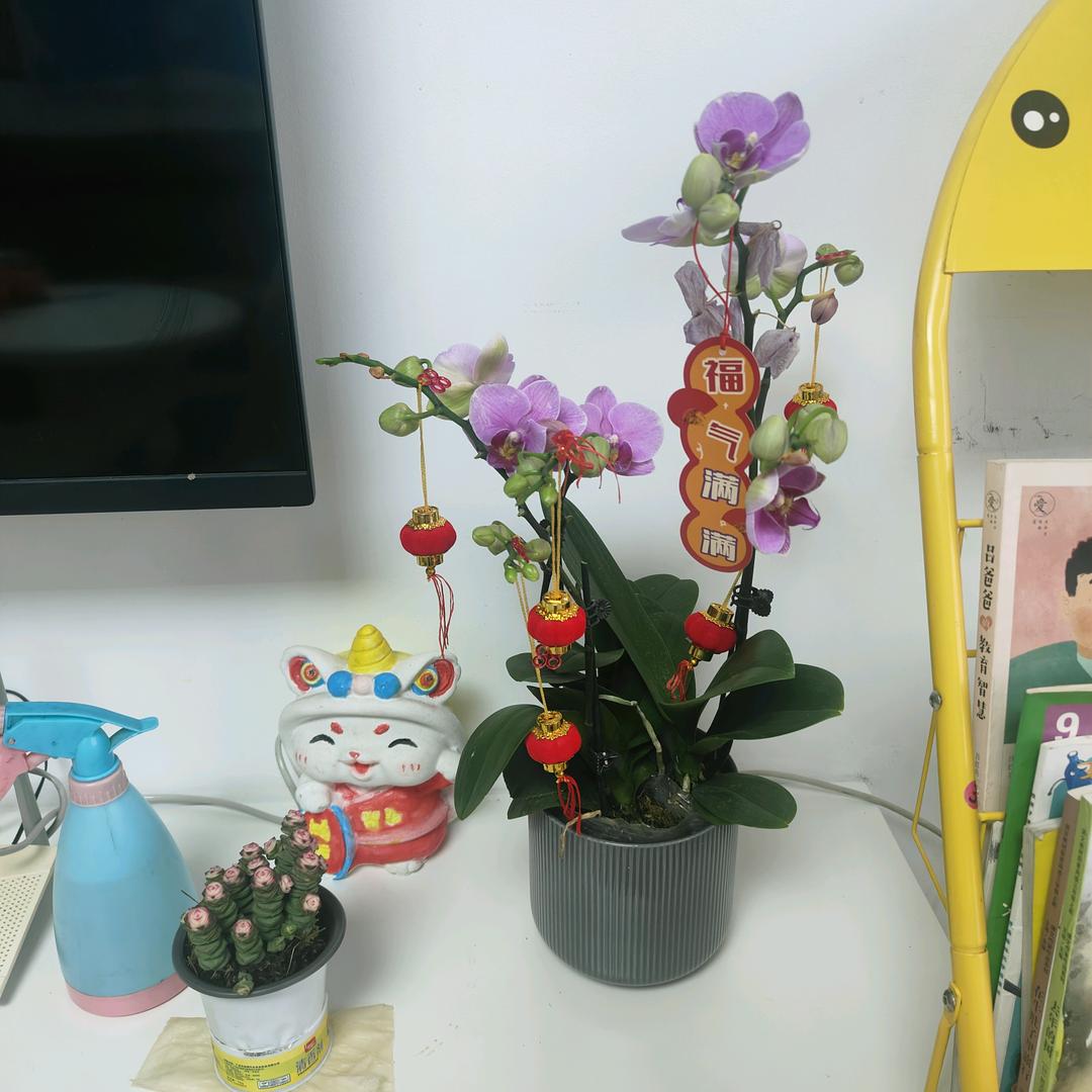 开心^O^马骝
