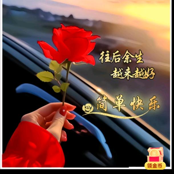 静梦蔷薇