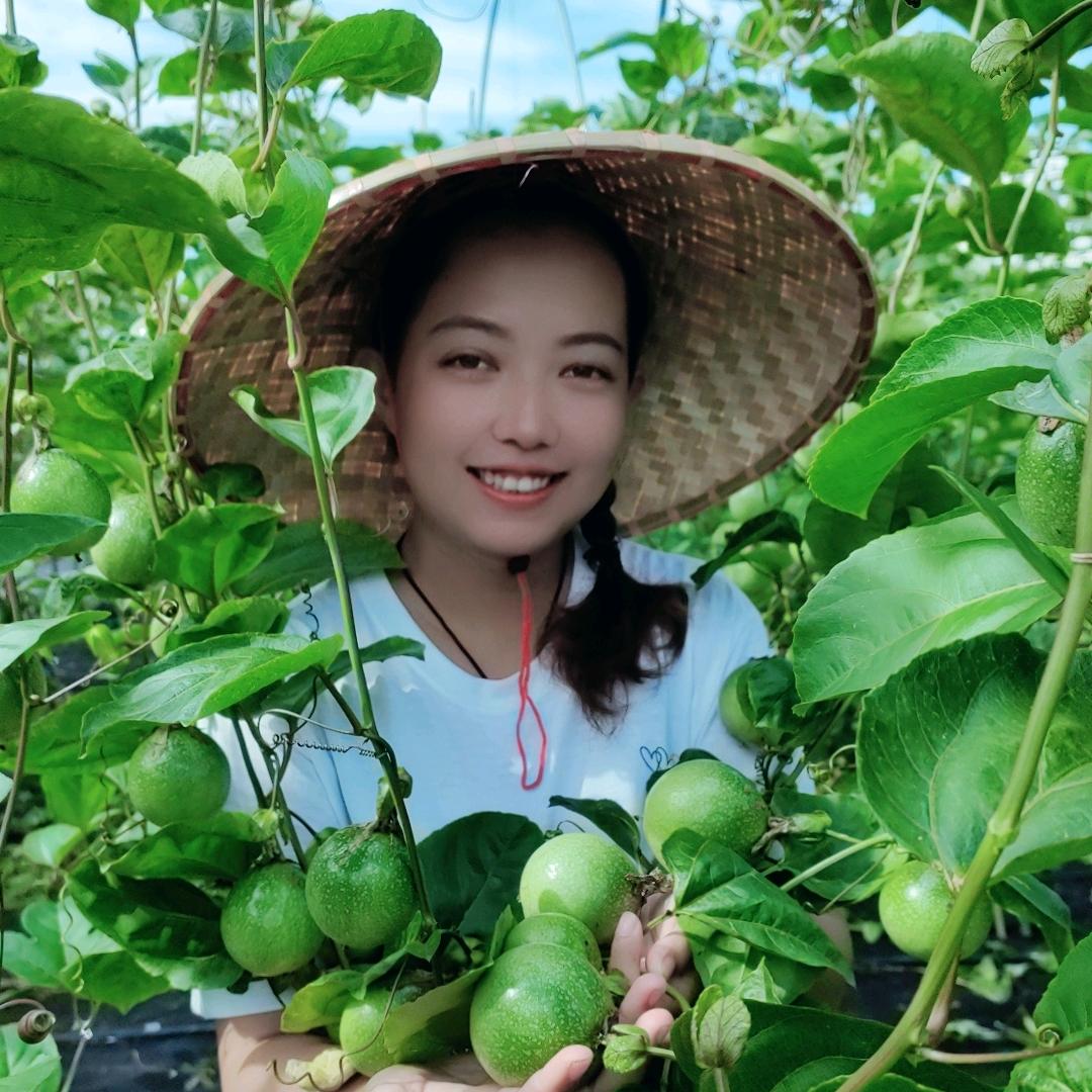 问香百香果