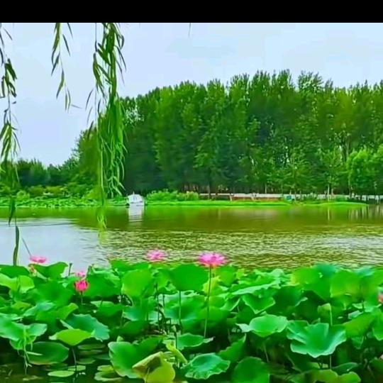 吃亏是福